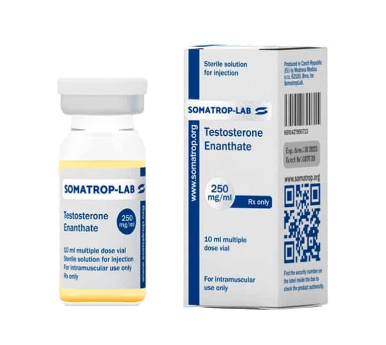 testosteron enanthate 250 somatroplab