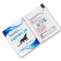 케어포스 CT 100mg - 실데나필 츄어블 - 100정 - EU 약국